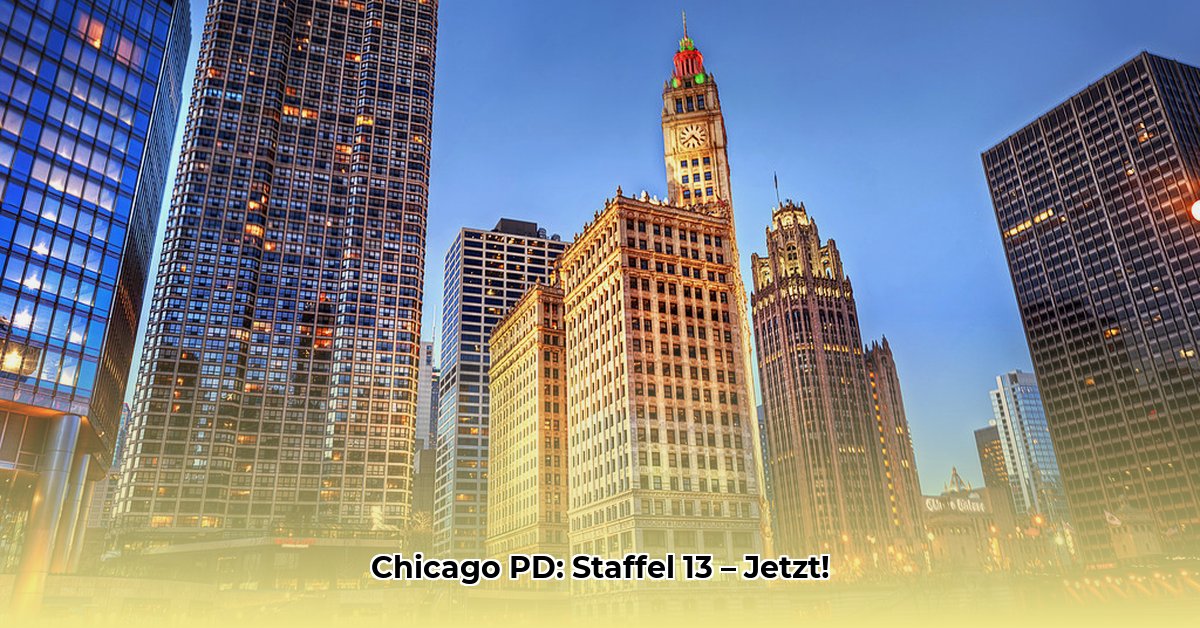 chicago-pd-an-vorderster-front